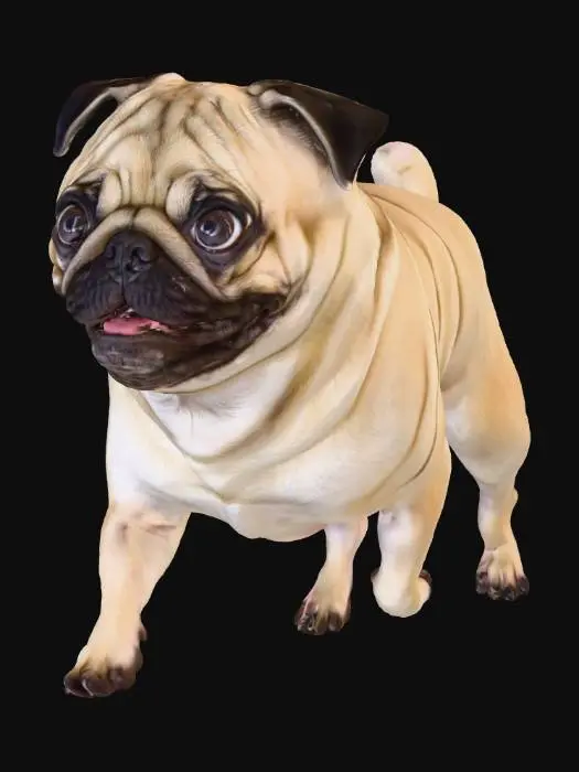 3D model for pug_runningB.png