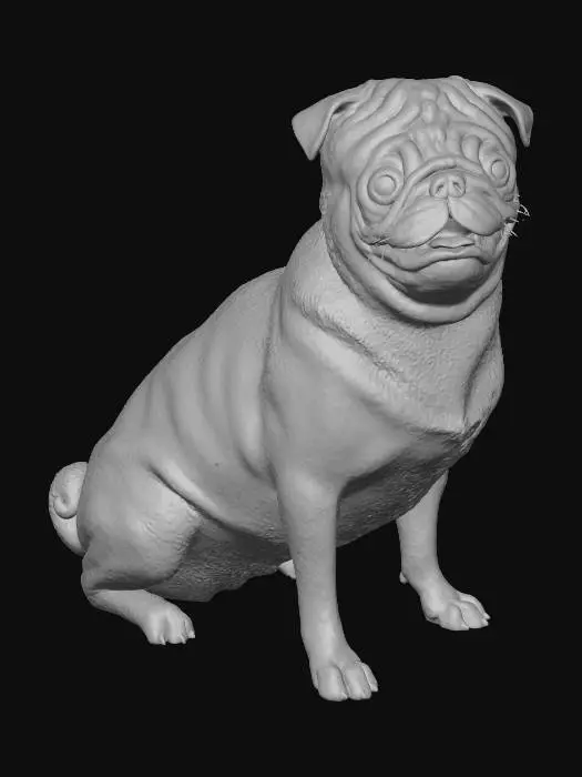 3D model for Pug Sitting