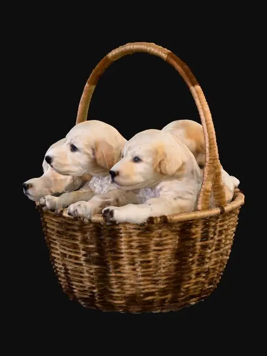 3D model for Puppy Basket Trio
