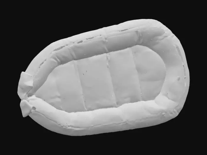 3D model for Colorful Baby Nest