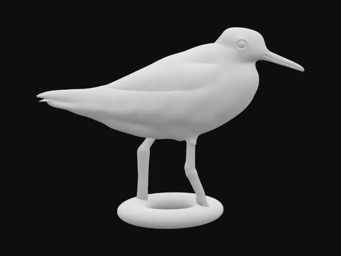 3D model for Wood_Sandpiper
