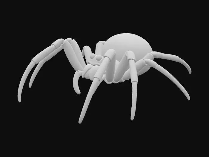 3D model for Spider