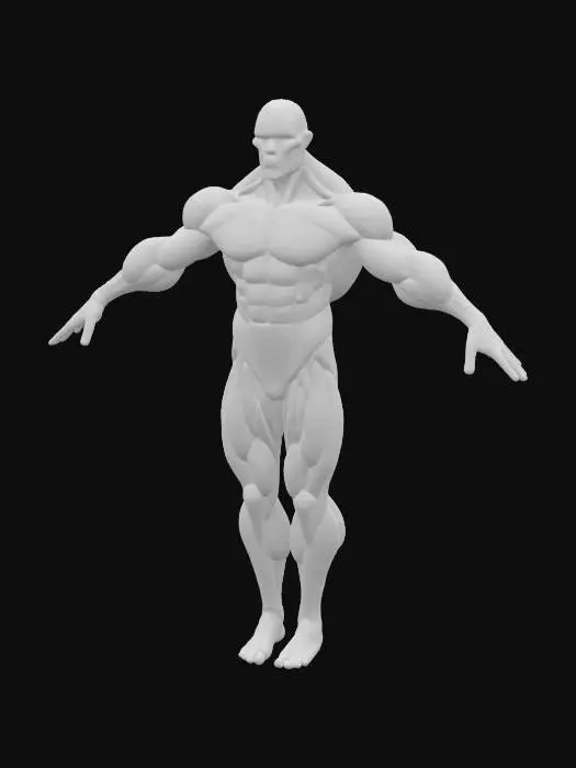 3D model for Anatomical Manterceptor