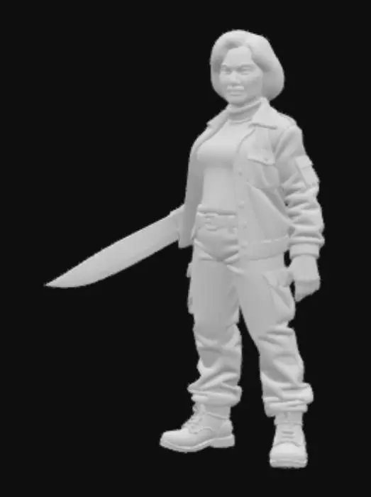 3D model for Pamela