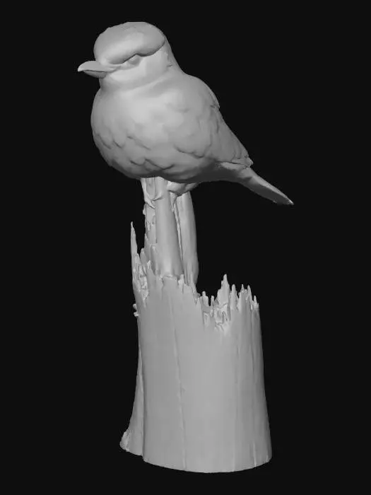 3D model for European_Roller_