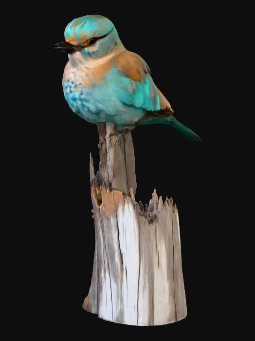 3D model for European_Roller_