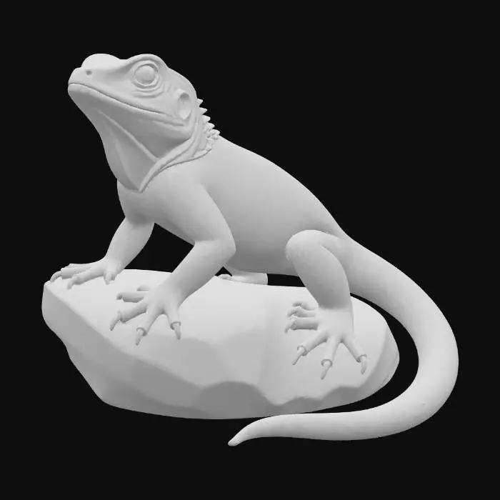 3D model for Agama_Lizard