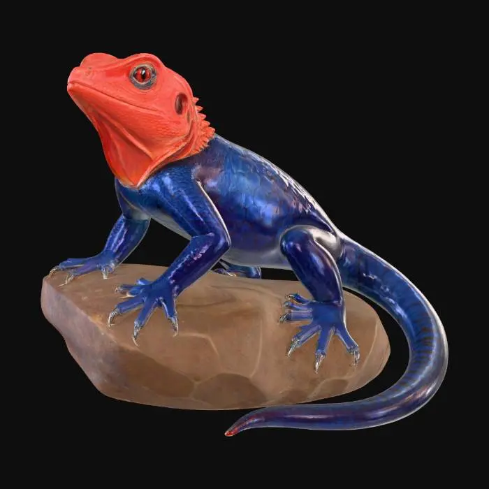 3D model for Agama_Lizard