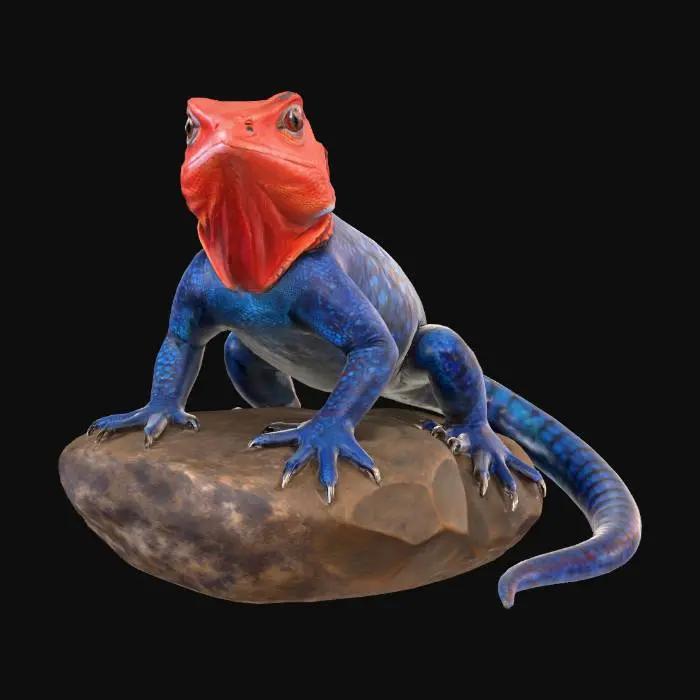 3D model for Agame_Lowpoly