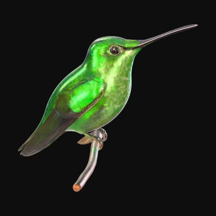 3D model for Hummingbird