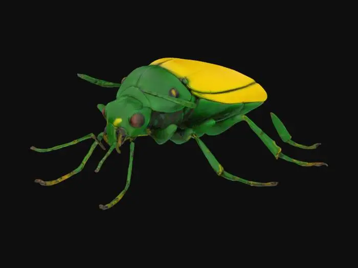 3D model for a giant green yellow beetle, looks detailed and poisend