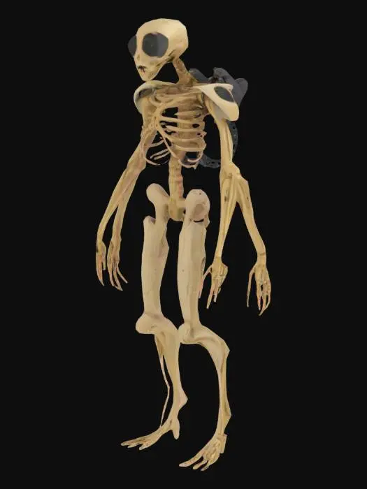 3D model for The object has a humanoid shape with elongated limbs, a skeletal frame, metallic backpack-like protrusions, and a rough, bony texture., 