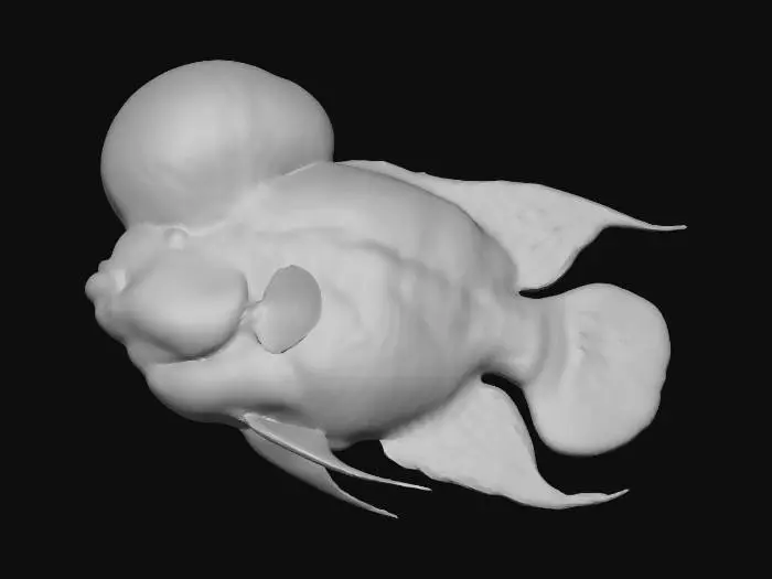 3D model for 精美的3D罗汉鱼渲染图，皮肤呈现光泽的深红色，并镶嵌着明亮的白色荧光纹理，这些纹理在黑暗中显得格外突出。鱼头部隆起巨大，其上的纹路如同抽象的地图。宽大的红色鱼鳍边缘带有精细的浅蓝色条纹，展现出半透明的质感。置身于深邃的海洋背景中，阳光从水面洒下，营造出一种超现实的神秘深海氛围。这款高度精细、风格化且逼真的3D模型拥有8K纹理。Octane渲染