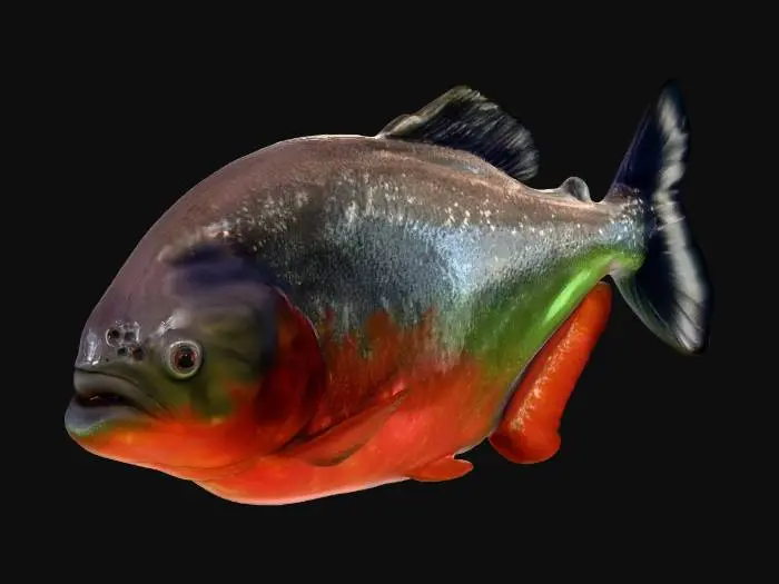 3D model for Piranha Parade