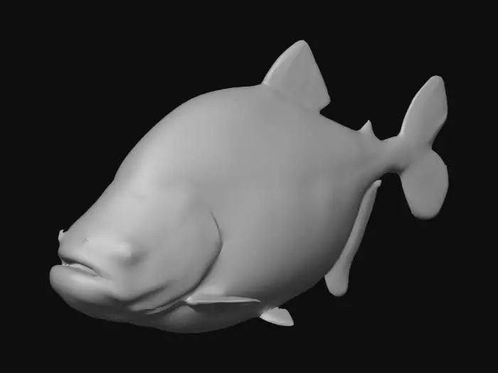 3D model for Black Piranha