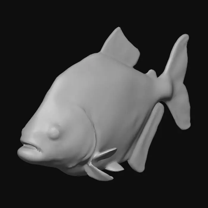 3D model for Juvenile Piranha