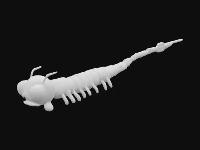 3D model for Beeware Worm 