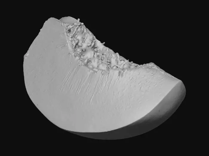 3D model for Peach Slice