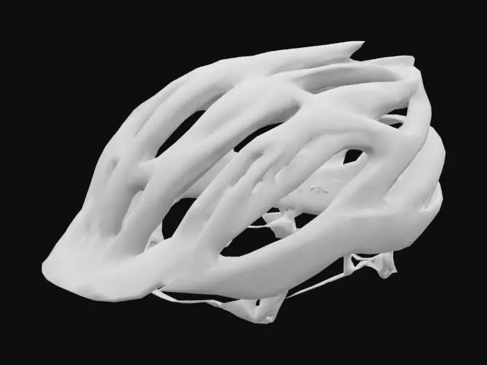 3D model for Cyclist's Carbon Guardian