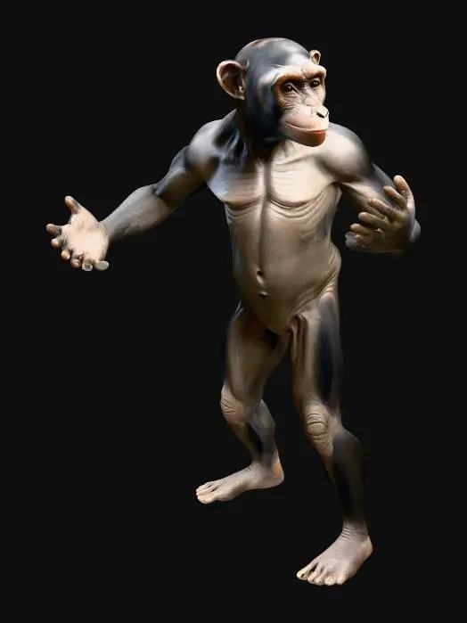 3D model for A highly realistic 3D model of a Humanzee, a hybrid between a human and a chimpanzee. The character stands upright in a neutral pose (A-pose or T-pose). Body proportions are intermediate: more muscular and slightly shorter than an average human, with elongated arms and strong hands/feet resembling a chimpanzee. The face is a blend of human and chimp features — expressive eyes, defined brow ridge, slightly protruding jaw, and short dark fur covering most of the body, with exposed human-like skin on the face, chest, palms, and soles. Natural coloration: dark brown/black fur with subtle variations. Photorealistic PBR textures (albedo, normal, roughness), UV-mapped. Clean, animation-ready topology for Blender import (.fbx or .glb). Designed for rigging and realistic rendering.