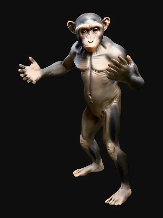 3D model for A highly realistic 3D model of a Humanzee, a hybrid between a human and a chimpanzee. The character stands upright in a neutral pose (A-pose or T-pose). Body proportions are intermediate: more muscular and slightly shorter than an average human, with elongated arms and strong hands/feet resembling a chimpanzee. The face is a blend of human and chimp features — expressive eyes, defined brow ridge, slightly protruding jaw, and short dark fur covering most of the body, with exposed human-like skin on the face, chest, palms, and soles. Natural coloration: dark brown/black fur with subtle variations. Photorealistic PBR textures (albedo, normal, roughness), UV-mapped. Clean, animation-ready topology for Blender import (.fbx or .glb). Designed for rigging and realistic rendering.
