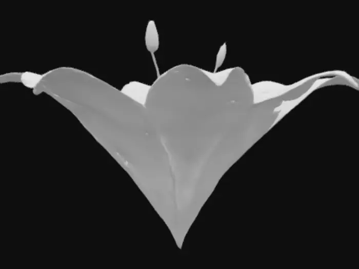 3D model for Purity Blossom