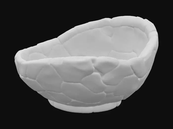 3D model for A bowl shaped like a turtle shell, measuring roughly 7 inches in diameter and 3 inches deep. The outer surface mimics a realistic turtle carapace with raised, polygonal segments—mostly hexagonal and slightly asymmetrical—interlocked across the curved dome. Each segment is subtly ridged with shallow grooves in between, giving a natural, organic texture. The bowl's rim follows the outer contour of the shell’s edge, slightly uneven and scalloped. The inside is smooth and concave, retaining a shallow dome-like shape. The base is slightly flattened to rest stably on flat surfaces, blending into the shell form without visible feet.