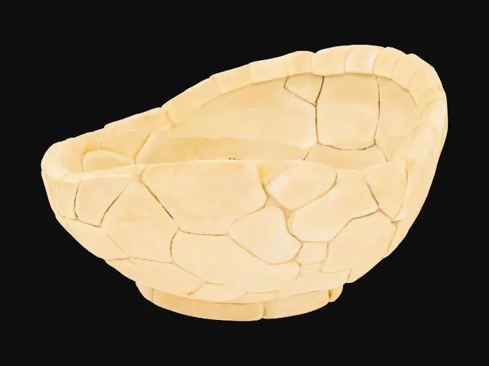3D model for A bowl shaped like a turtle shell, measuring roughly 7 inches in diameter and 3 inches deep. The outer surface mimics a realistic turtle carapace with raised, polygonal segments—mostly hexagonal and slightly asymmetrical—interlocked across the curved dome. Each segment is subtly ridged with shallow grooves in between, giving a natural, organic texture. The bowl's rim follows the outer contour of the shell’s edge, slightly uneven and scalloped. The inside is smooth and concave, retaining a shallow dome-like shape. The base is slightly flattened to rest stably on flat surfaces, blending into the shell form without visible feet.