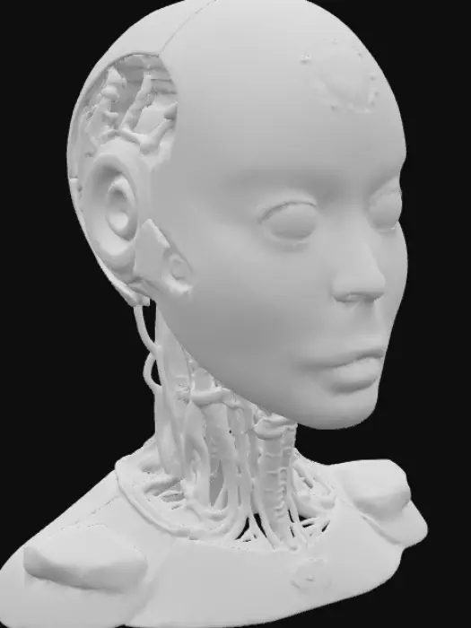 3D model for A futuristic mechanical head, split cleanly down the middle. One half is a smooth, polished metal exterior with sleek contours and glowing eye lens. The other half is fully exposed, revealing intricate inner workings—gears, pistons, wires, cooling tubes, and glowing circuits layered within a complex skeletal frame. The internal components have metallic, chrome, and brass finishes with subtle light reflections, giving a sense of depth and precision engineering. The head is angled slightly for a dramatic, detailed view of both sides.