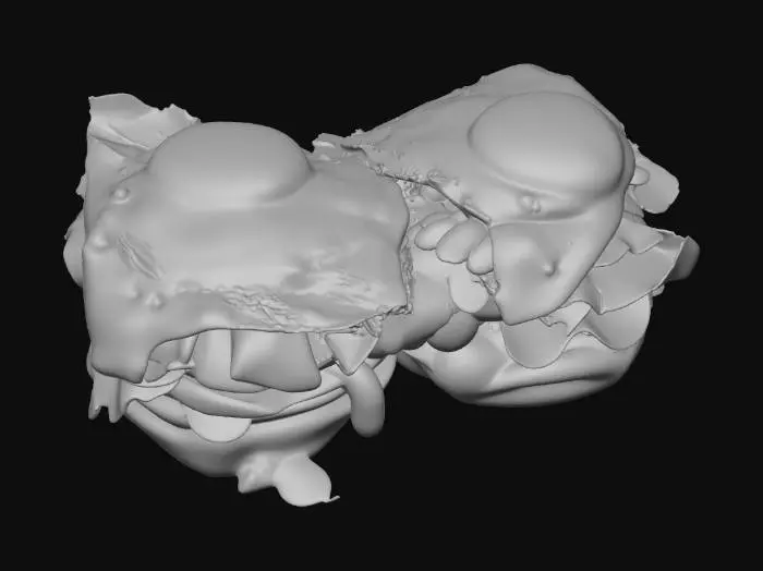 3D model for Sunny Breakfast Delight