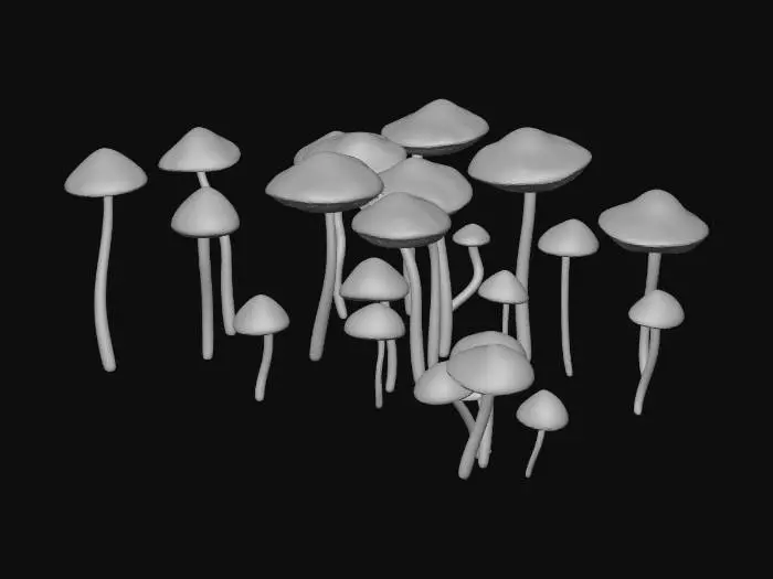 3D model for Small white mushrooms