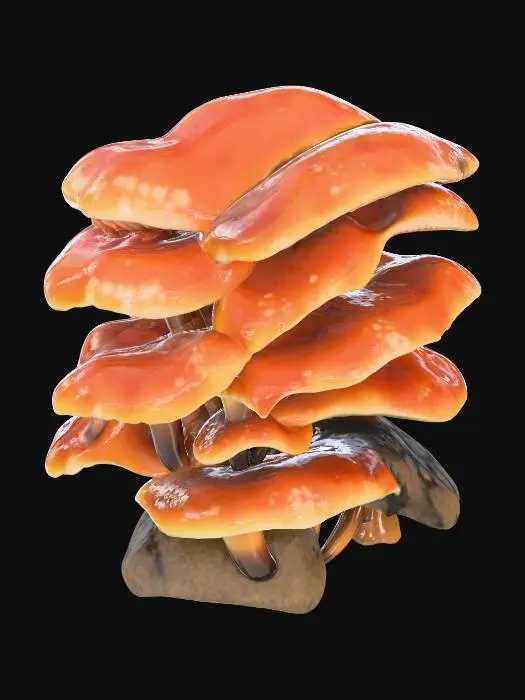 3D model for Mushroom Cascade
