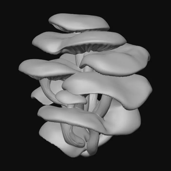 3D model for Orange Mushrooms Growing on a Tree