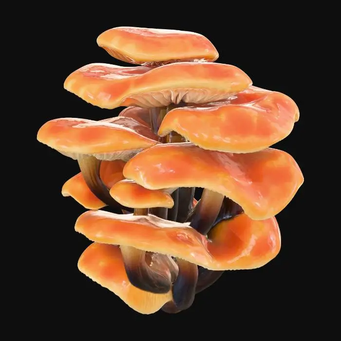 3D model for Orange Mushrooms Growing on a Tree