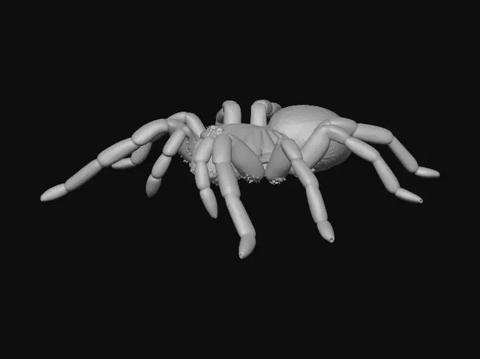 3D model for Tarantula on Black Background