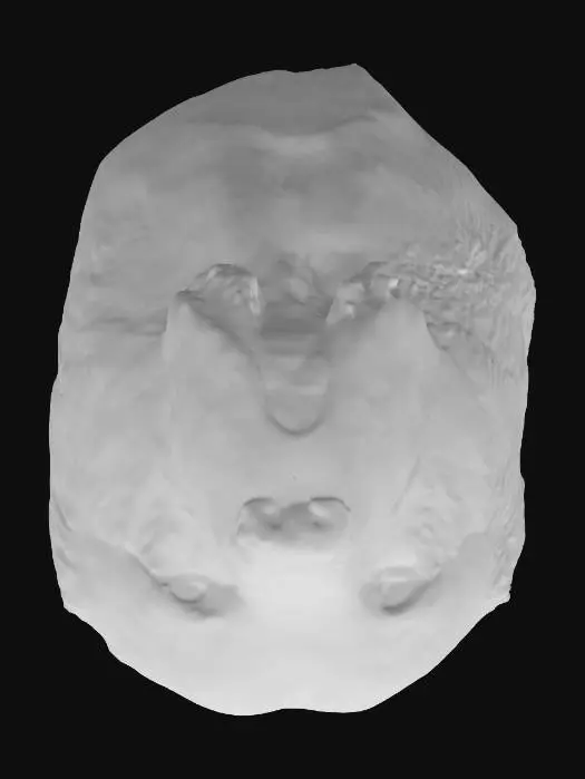 3D model for Kaya Try 2