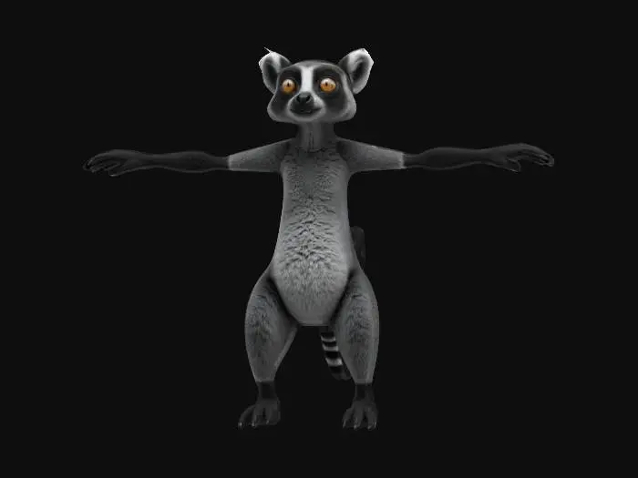 3D model for "Симметричная 3D модель лемура в Т-позе (руки горизонтально, ладони открыты), вид спереди. Стиль: игровой hi-poly. Детали:
- Большие круглые глаза с темными ободками
- Пушистый полосатый хвост длиннее тела
- Короткая серая шерсть на теле, белое брюшко
- Узкая морда с темным носом-пятачком
- Крупные уши треугольной формы
- Лапы с противопоставленными большими пальцами
- Пропорции: рост ~1.5 м (включая хвост) ноги более длинные 
Требования: чистая топология, готова к риггингу, полигоны < 15k, текстуры 4K PBR. Фон нейтральный серый."