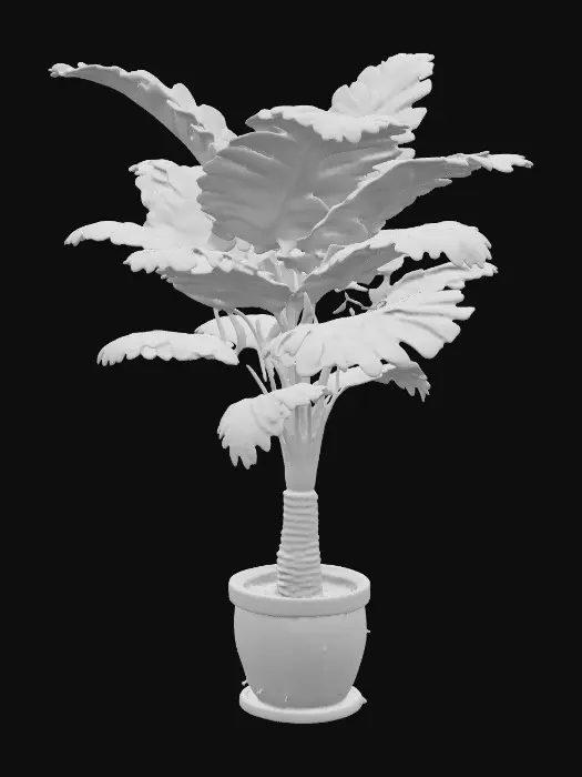 3D model for Home big palm plant in the pot