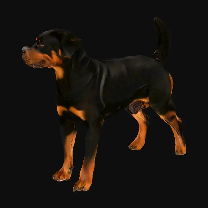 3D model for Guardian of the Field