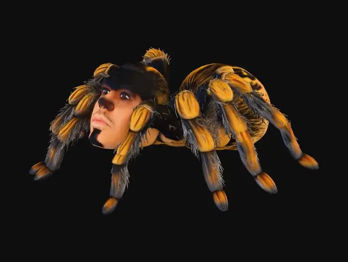 3D model for Spider Hybrid