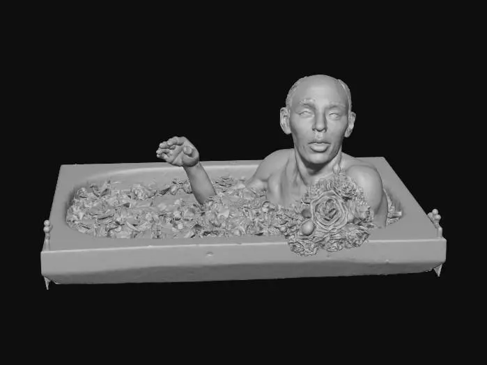 3D model for Serenity in Blooms