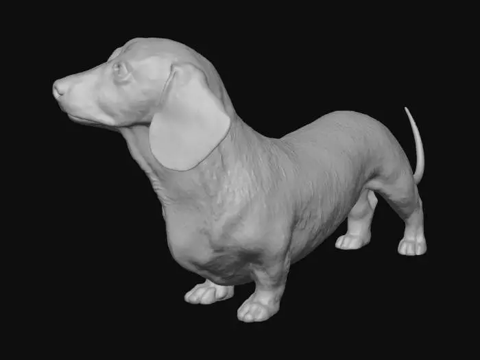 3D model for Dachshund Delight