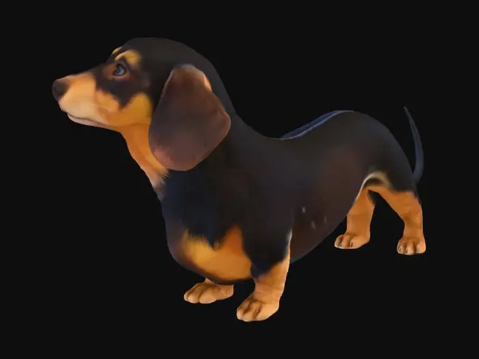 3D model for Dachshund Delight