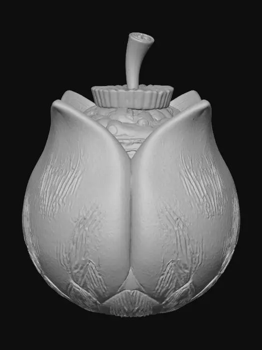 3D model for Fruit of the Sea