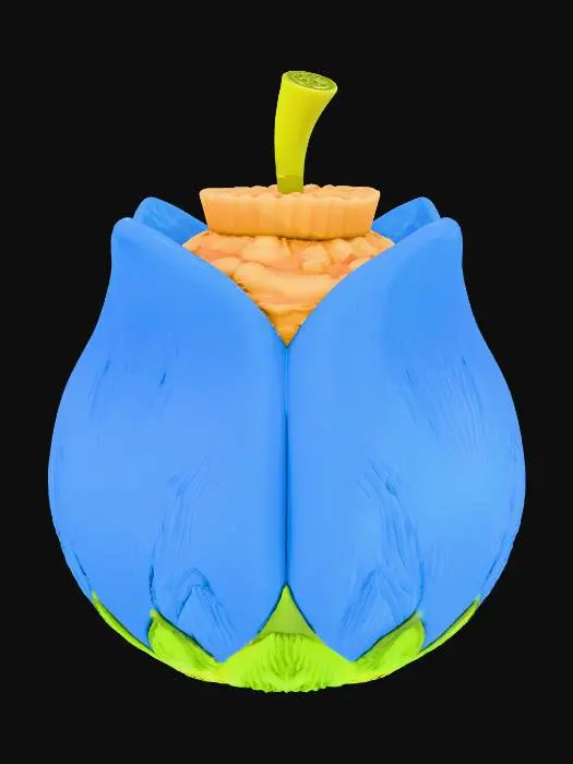 3D model for Fruit of the Sea