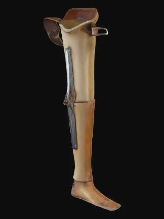3D model for Prosthetic Leg Diagram