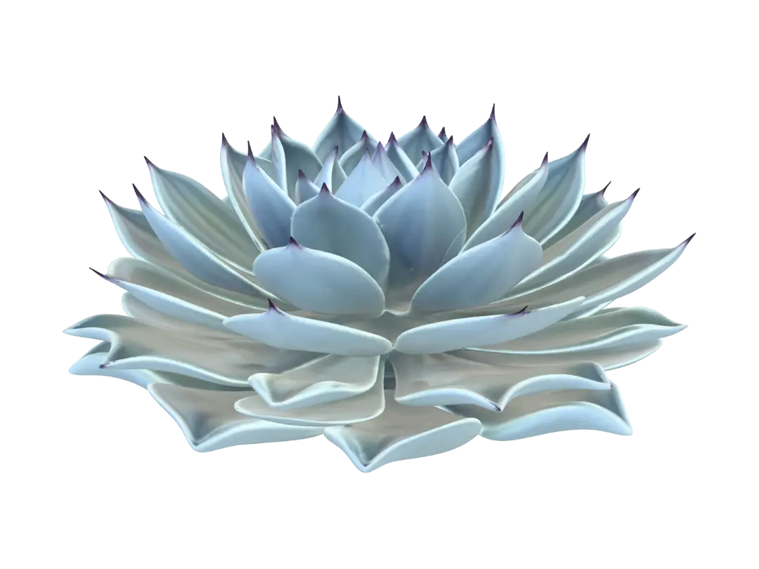 Agave Plant - Spiky 3D model, vytvořený pomocí AI
