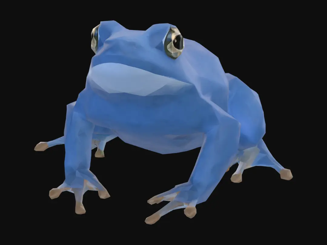 swamp