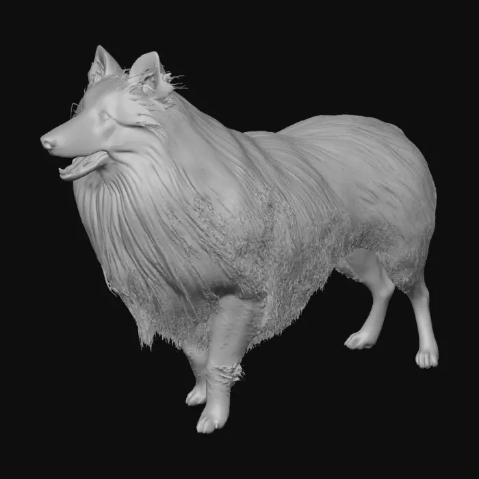 3D model for Fluffy Delight Sheltie dog