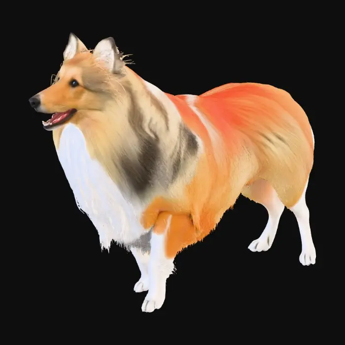 3D model for Fluffy Delight Sheltie dog